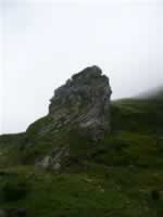 Pyrenaen Bild